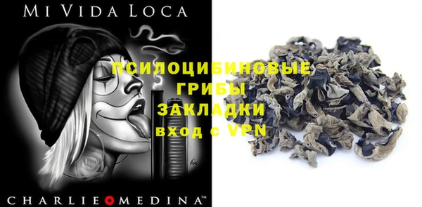 ПСИЛОЦИБИНОВЫЕ ГРИБЫ Абинск