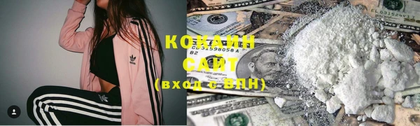 соль ск Абаза