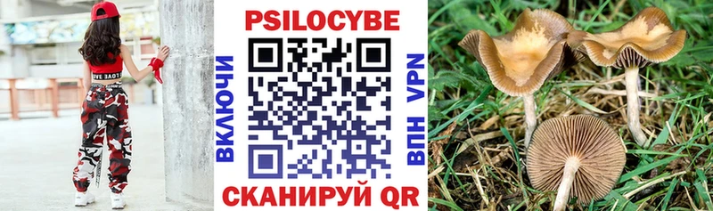 Псилоцибиновые грибы MAGIC MUSHROOMS  где купить наркотик  Аткарск 